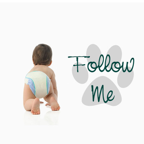 chirunhk's profile picture. 