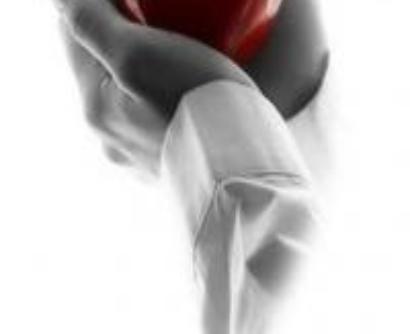 seeblogir's profile picture. توییتر دانشجویان بهداشت حرفه ای