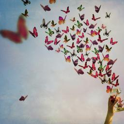 ttalafha's profile picture. Mother and Product Manager ❤️