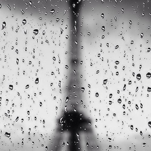 DaRon19PdF's profile picture. 