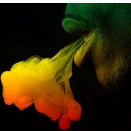 clubpatois's profile picture. LADIES FREE TIL MIDNIGHT
FREE PARKING
YOUR FAVORITE JAMAICAN CUISINES 
YOUR FAVORITE HIP HOP & R&B W/ the sounds of REGGAE 
775-3-PATOIS