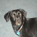 Robert Bryner - @budloudoo - Twitter