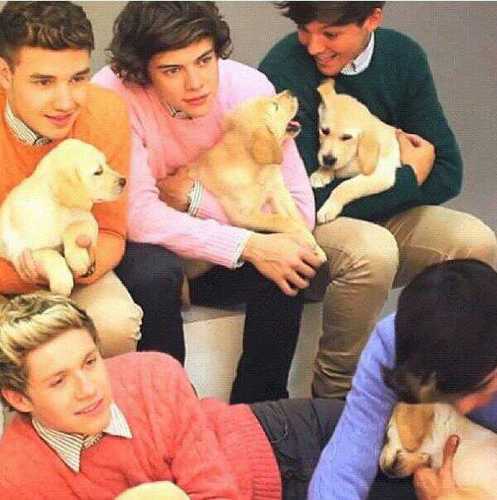 We are two girls that love and support One Direction no matter what. They have inspired us in so many ways. We post 1D pics,facts,etc. If you follow we love you