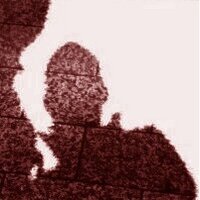 AP3375 (@ap3375) 's Twitter Profile