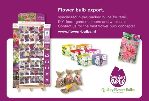 Flower bulb export, specialized in pre-packed bulbs for retail, diy, food, gardencenters and wholesale. Contact us for the best bulb concepts!