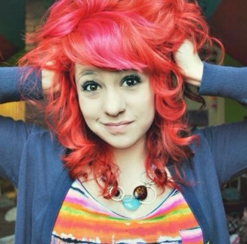 Wild_Tweeter's profile picture. 