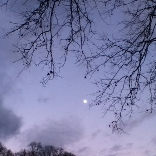 ReallyRosy1's profile picture. 