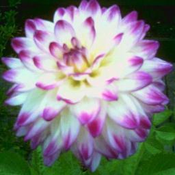 katiepink9's profile picture. Government stole my PENSION #backto60 #cedaw #50sWomen #full restitution