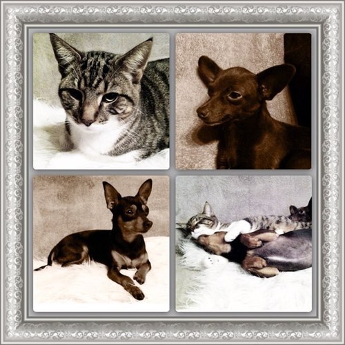 ArienneBlokdijk's profile picture. 