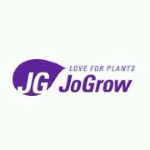 JoGrow is een potplantenkwekerij, gespecialiseerd in het kweken van tropische groene kamerplanten en Hortensia's.