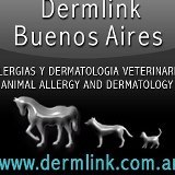 Especialista en Dermatologia Veterinaria Teledermatologia - Veterinary Dermatology Teledermatology