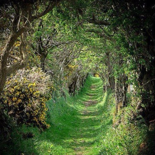 sara6068's profile picture. شيخه بنت شيخ .. حسابي القديم تهكر وهذا حسابي الجديد .. الخاص مرفوض .. وخلونا اخوان .. عشقي الفنان عبدوش 3bdosh@