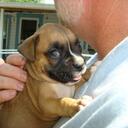 Pete Close - @PeteClose - Twitter