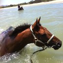 Olivia Cairns - @OCairnsRacing - Twitter