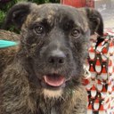 Teddy Woods - @MrTeddyWoods - Twitter