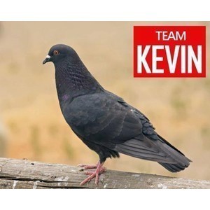 hi directioners its kevin the-pigeon from facebook follow me please i follow back !!! LOVE u all !!!
JESY NELSON follows!