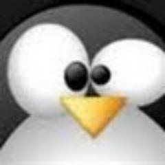 RenardLo's profile picture. 