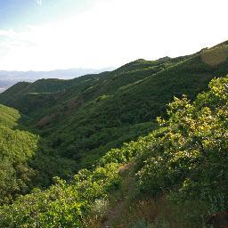 ryankowala's profile picture. 