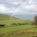  MICHELLE BARROW - @Mbarrow9 - Twitter