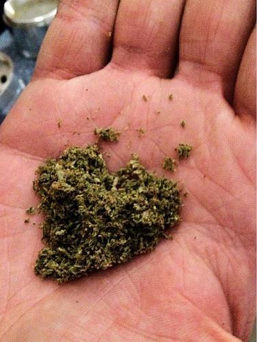 WeedMacGyver's profile picture. #women #weed and #weather #CaliforniaLiving #marijuana #drugs #copsloveme #stonernation 
Live life large, but take tokes even larger