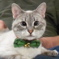 Kim Hall (@kimhall21) 's Twitter Profile