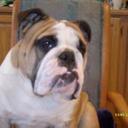 terry thorn - @2012Jigsaw - Twitter