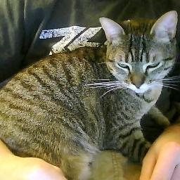 jckcorner's profile picture. 