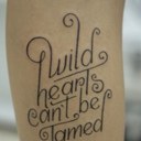 Kate Stamp - @Dotty_27 - Twitter