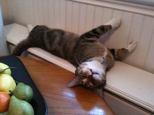 josephine clatworthy