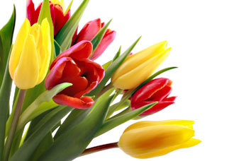 I tweet about news, discounts, offers, quotes and many more!