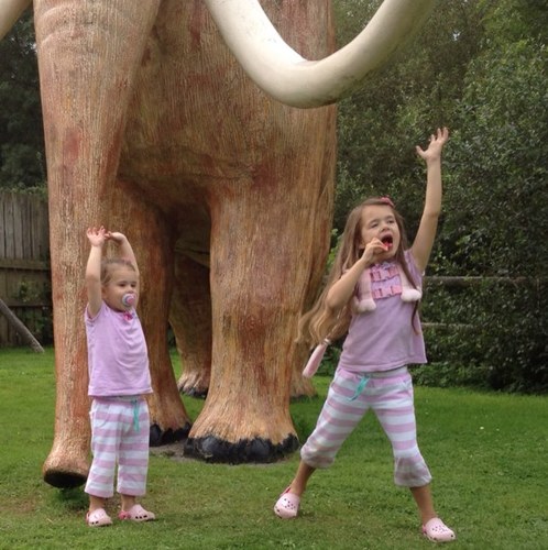 Evans1Nick's profile picture. 