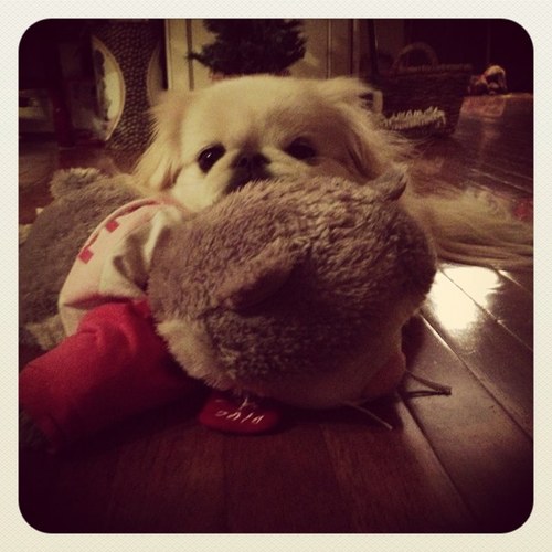 macspudge's profile picture. 