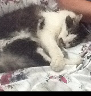 PegBeck's profile picture. 