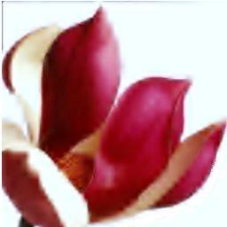 Empresa de jardineria,servicios,mantenimiento de comunidades y particulares. Presupuestos gratuitos sin compromiso. Pregunte por la cuota todo incluido.
