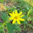 Ellen Shank - @EllenShank1 - Twitter