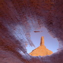 Mike Kaiser - @onevoicewild - Twitter