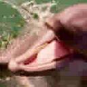 Joe Bonds - @joebonds - Twitter