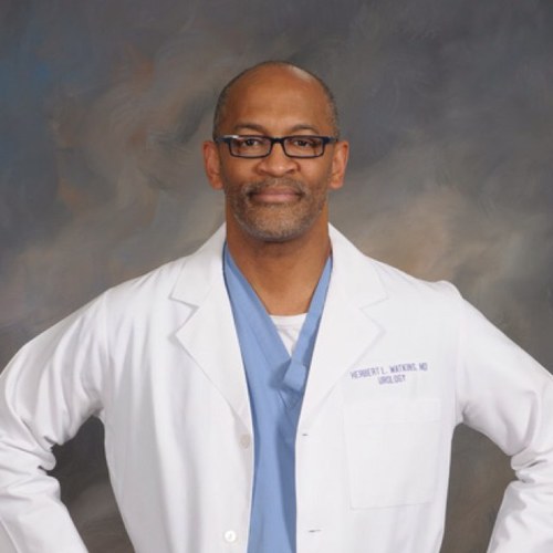 hlwcts's profile picture. 