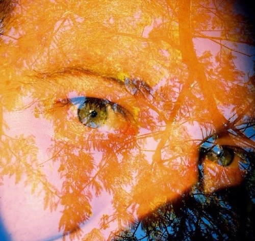 CamDoAttitude's profile picture. Analog photographer, Tabletop RPG player, movie lover, and middle school teacher.