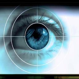 RareViewConsult's profile picture. We provide quality consulting to our clients in domains like automotive, travel, adventure sports and help them in creating the best strategies for their growth