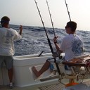 michael muoio - @michael_muoio - Twitter