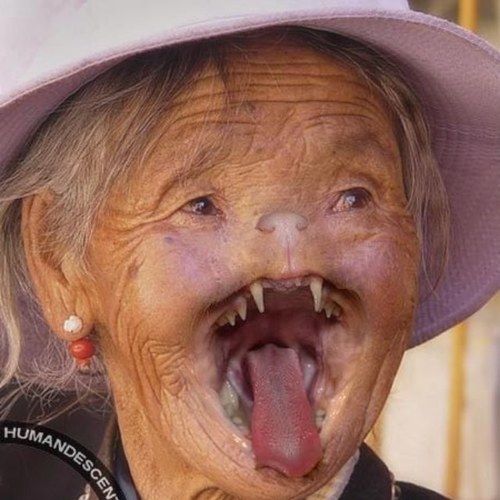 jordanrsmith95's profile picture. Meth and Cats for Life