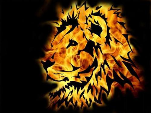 Lo2yMohamed's profile picture. 