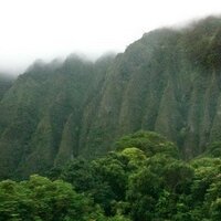 KailuaNEWS πΊπ¦ (@kailuanews) 's Twitter Profile