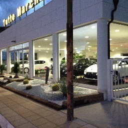 massimo flore Profile