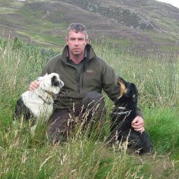 Hill farming sheep and beef in South west Scotland.