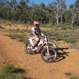 roon99's profile picture. Director of amsdg Australia