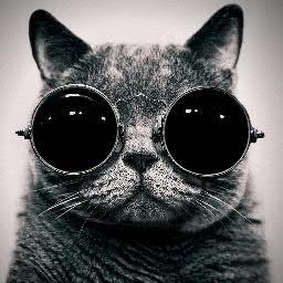 Alexandereos's profile picture. 