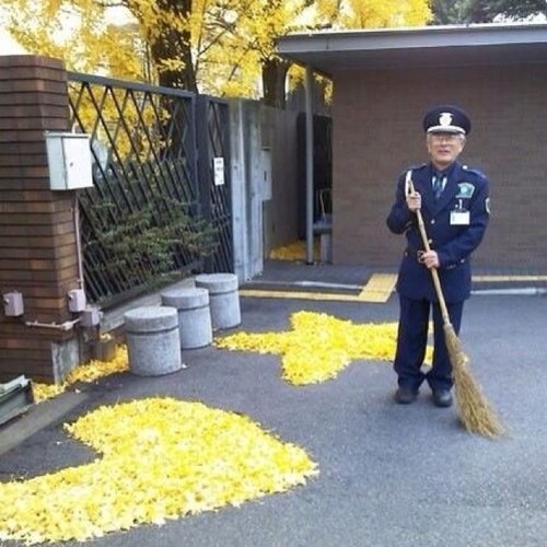 sakurakonic's profile picture. ひすい！SOFT部！GOLF部！学習院英米2年
バンカーはきらいじゃない。