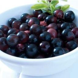 AcaiBerry_Scam Profile Picture